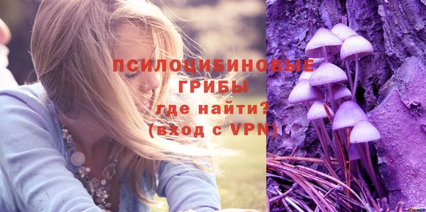 бошки Беломорск