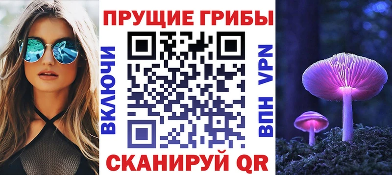 мега   Олёкминск  Галлюциногенные грибы GOLDEN TEACHER 